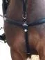 Preview: 5-Point Breastplate „Milano“